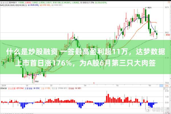 什么是炒股融资 一签最高盈利超11万，达梦数据上市首日涨176%，为A股6月第三只大肉签