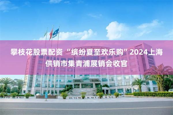 攀枝花股票配资 “缤纷夏至欢乐购”2024上海供销市集青浦展销会收官