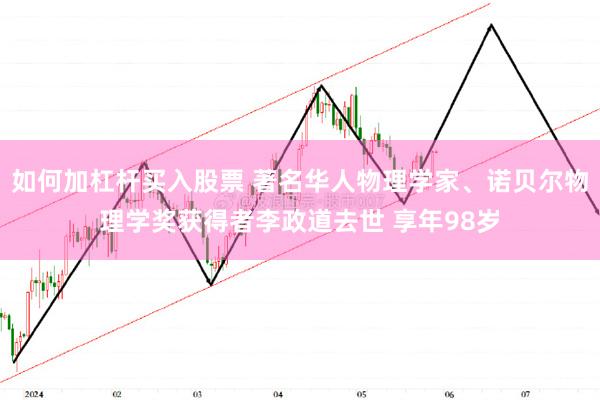 如何加杠杆买入股票 著名华人物理学家、诺贝尔物理学奖获得者李政道去世 享年98岁