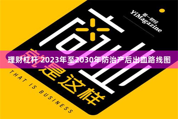 理财杠杆 2023年至2030年防治产后出血路线图