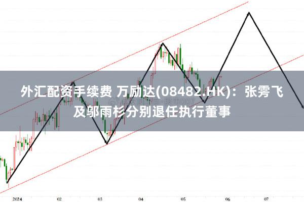 外汇配资手续费 万励达(08482.HK)：张雱飞及邬雨杉分别退任执行董事