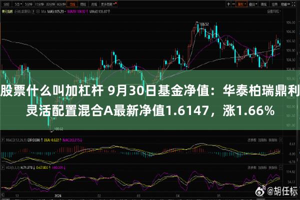 股票什么叫加杠杆 9月30日基金净值：华泰柏瑞鼎利灵活配置混合A最新净值1.6147，涨1.66%