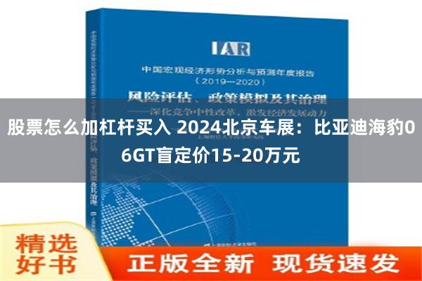 股票怎么加杠杆买入 2024北京车展：比亚迪海豹06GT盲定价15-20万元