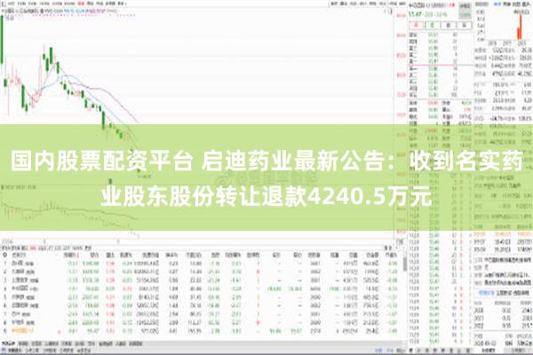 国内股票配资平台 启迪药业最新公告：收到名实药业股东股份转让退款4240.5万元