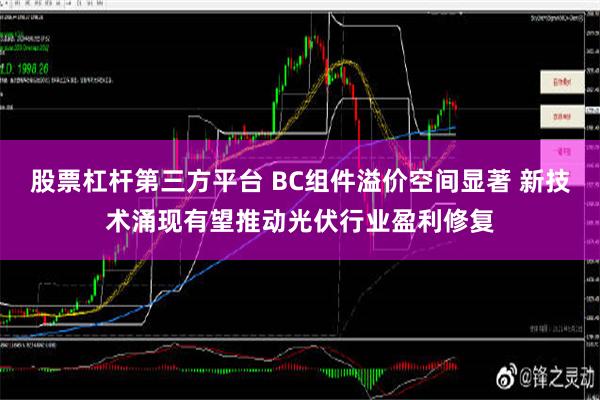 股票杠杆第三方平台 BC组件溢价空间显著 新技术涌现有望推动光伏行业盈利修复