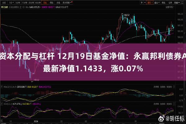 资本分配与杠杆 12月19日基金净值：永赢邦利债券A最新净值1.1433，涨0.07%