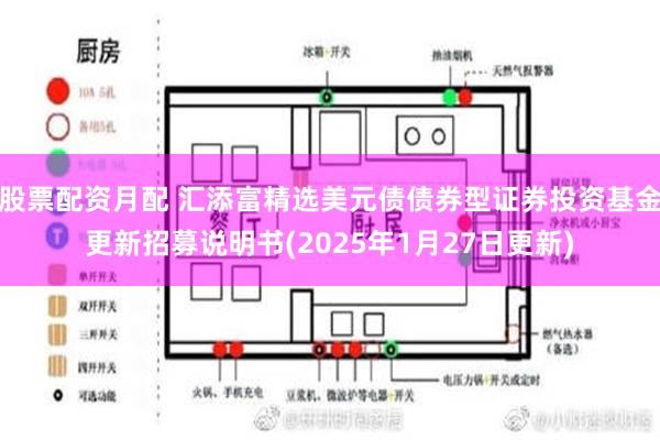 股票配资月配 汇添富精选美元债债券型证券投资基金更新招募说明书(2025年1月27日更新)